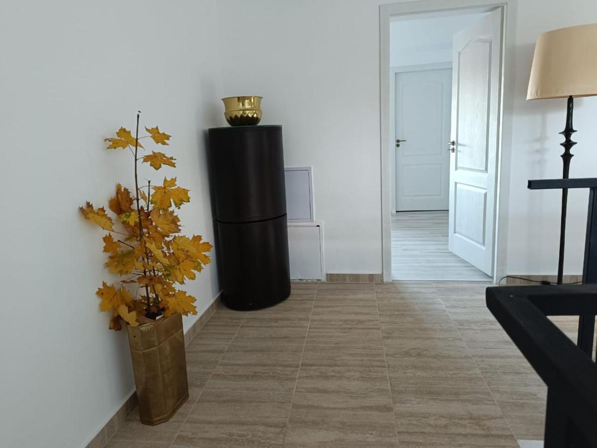 Hotel Viv Rosetti à Iasi Extérieur photo